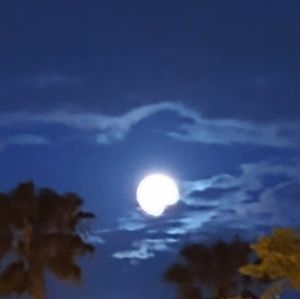 Meet your Posher, Billie